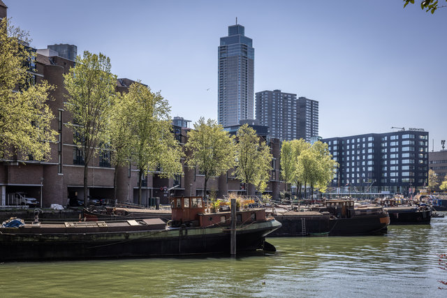 Amsterdam mama 2026-5710.jpg